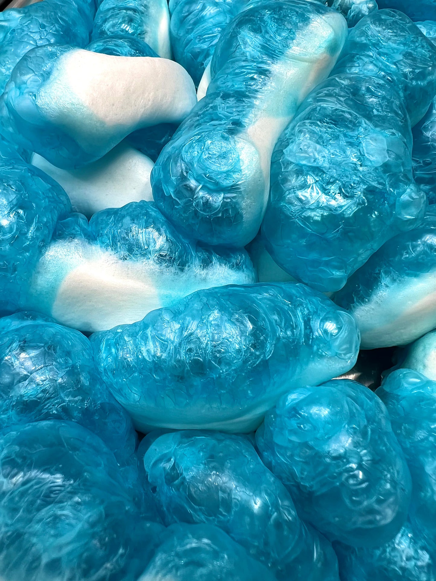 Gummy Sharks Freeze Dried
